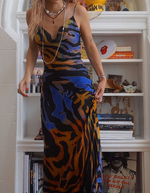 Emma Leopard Print Maxi Dress