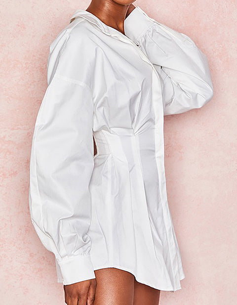 Birch Button Shirt  Dress