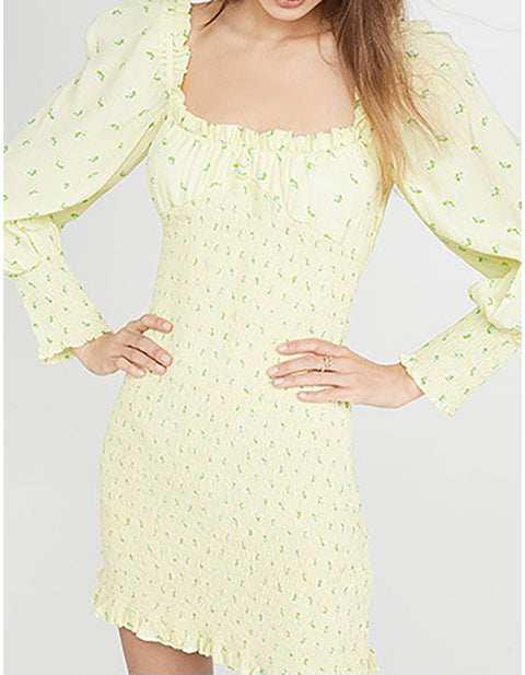 Julia Print Mini Dress