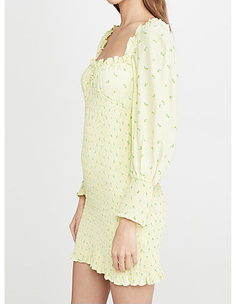 Julia Print Mini Dress