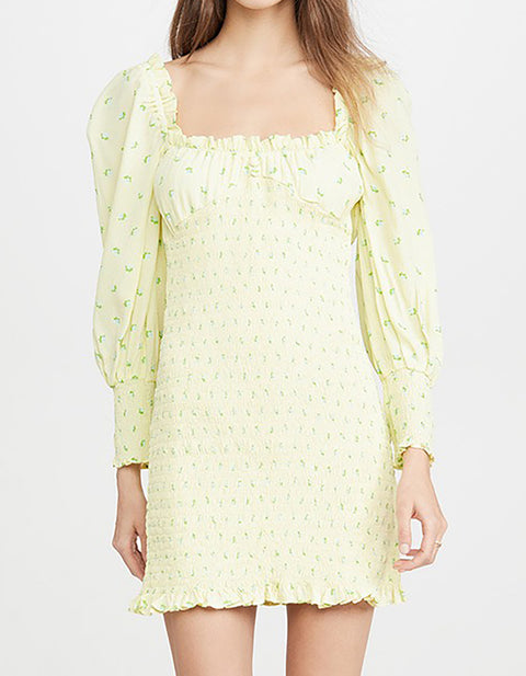 Julia Print Mini Dress
