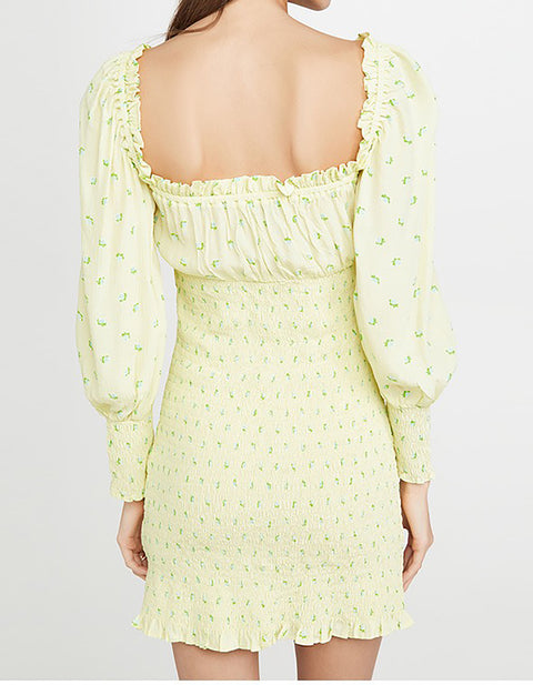 Julia Print Mini Dress